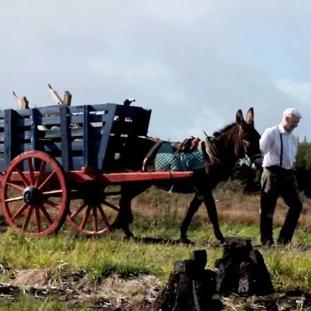 Ireland West Farm *