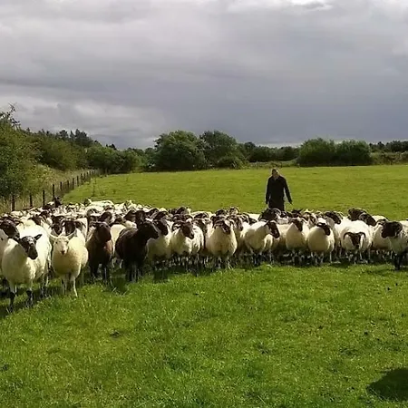 Ireland West Farm * Carracastle